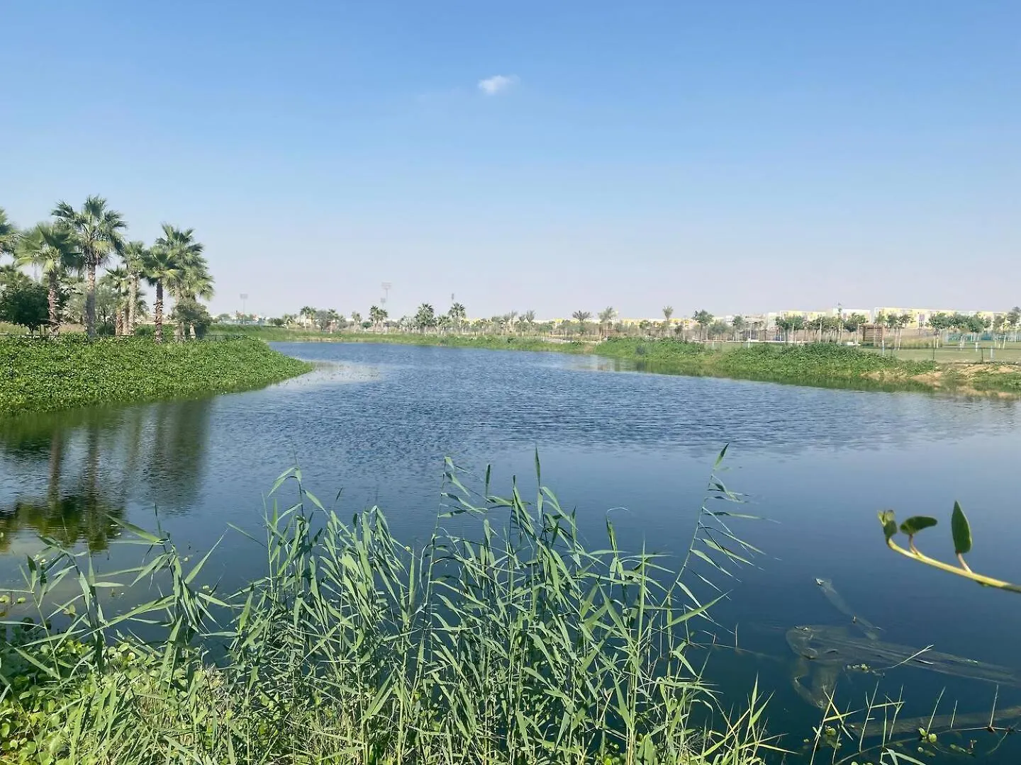 Villa Victoria Damac Hills 2 Family Retreat With Waterpark And Petting Farm Dubai United Arab Emirates