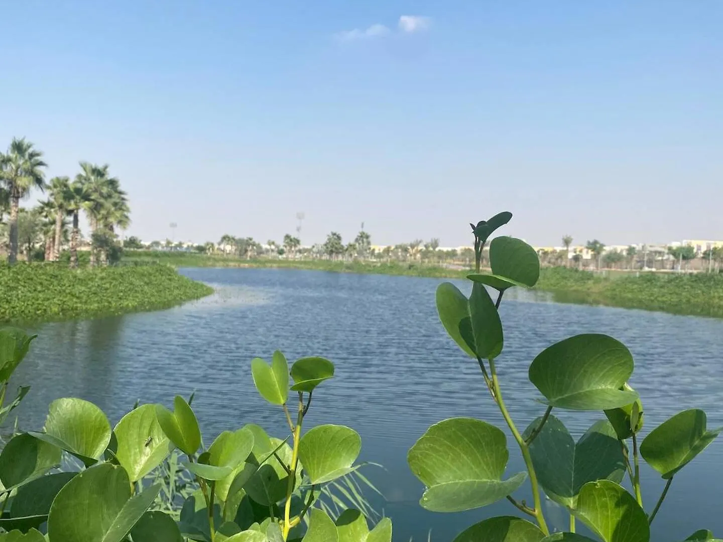 Villa Victoria Damac Hills 2 Family Retreat With Waterpark And Petting Farm Dubai